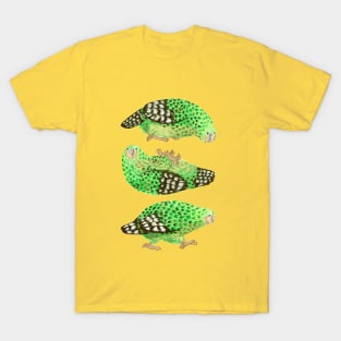 Three Kakapo T-Shirt